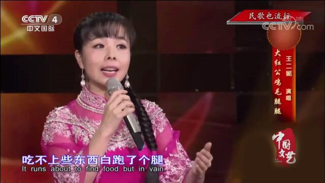 王二妮一曲山西民歌《大红公鸡毛腿腿》,活泼风趣,欢快明亮!