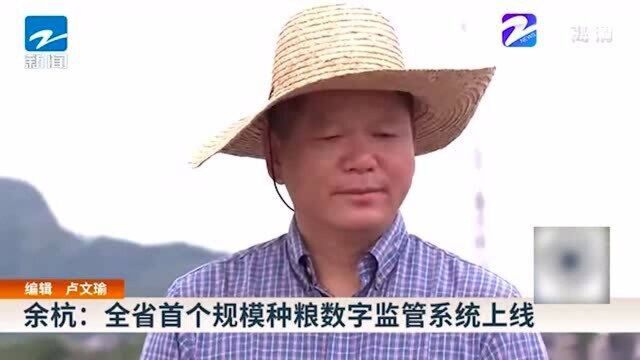 余杭:全省首个规模种粮数字监管系统上线