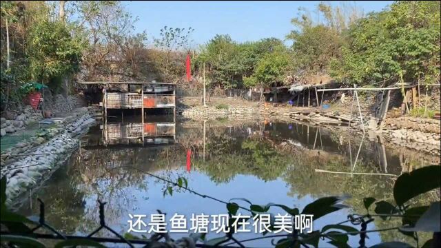 台湾农村老年人的生活状态,80岁了还在工作,他们幸福吗