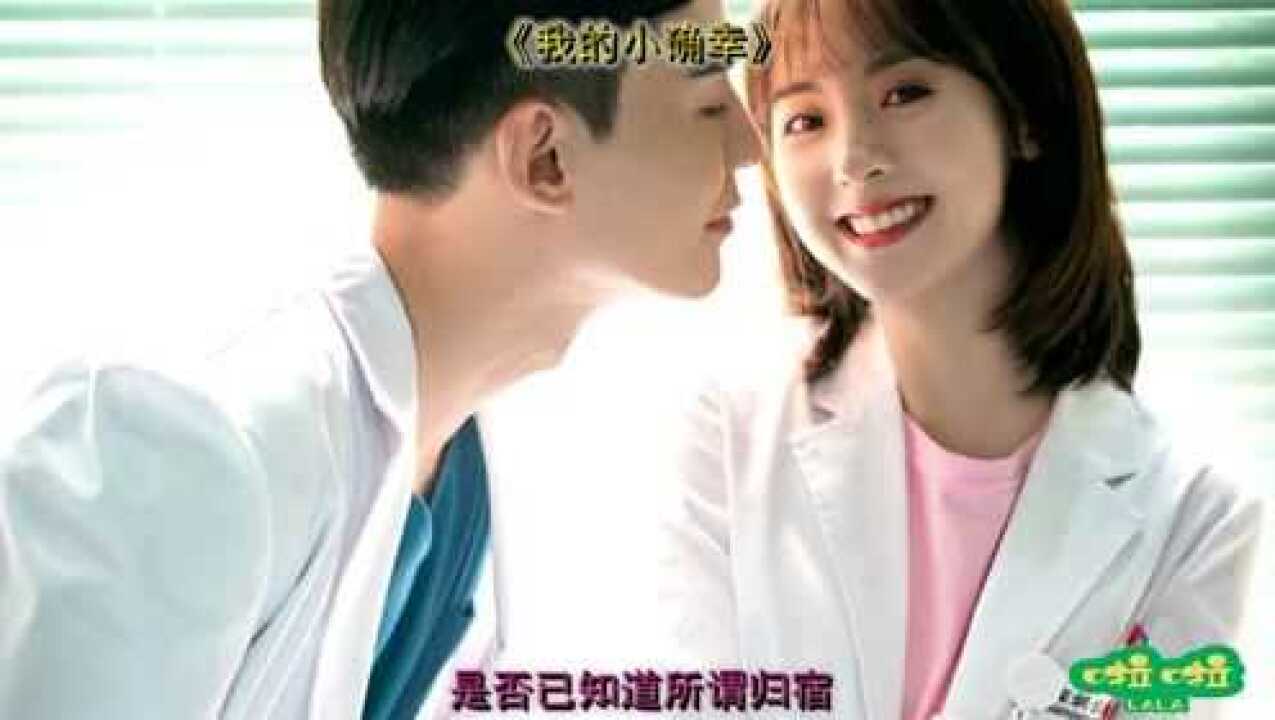 十部关于医生的电视剧