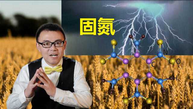 固氮:人类农业的一次飞跃,也为战争带来一大利器