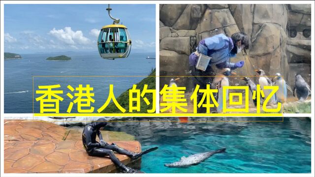 香港人的集体回忆|香港海洋公园|疫情下的香港|和我一起去海洋公园玩一天