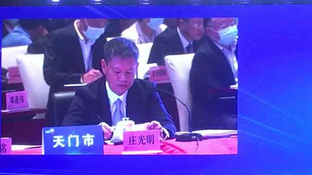 天门市委书记庄光明:强力推进,促进主要领域对接