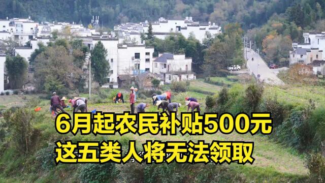 6月起,农民每户可以领取补贴500元,这五类人将无法领取