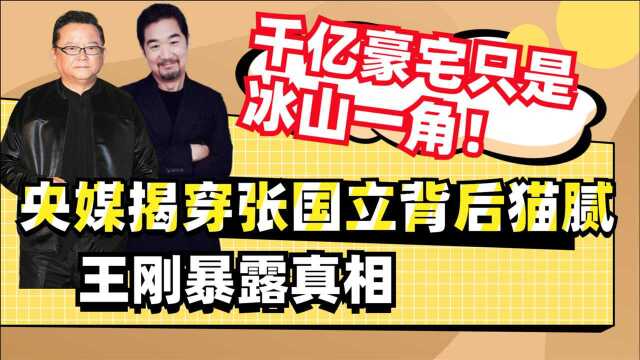 千亿豪宅只是冰山一角!央媒揭穿张国立背后猫腻,王刚暴露真相