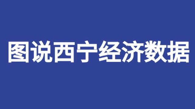 【图说西宁经济】14月我市房地产开发投资增长27%