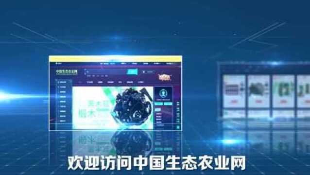 绿色消费风气兴起,中国生态农业网能否借风实现农产品创新销售?