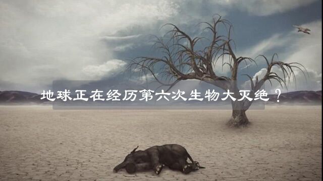 为什么说地球正在经历第六次生物大灭绝?全球每天有75个物种消失