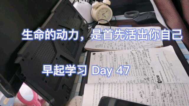 生命的动力,是首先活出你自己 早起学习 day 47