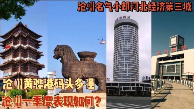 沧州城市竞争力如何?泊头铸件河间电缆任丘油田黄骅码头谁更强,名气不大化工发达,河北第三城