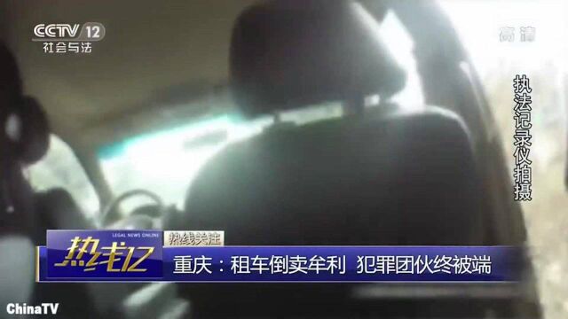 回顾:专业团伙先租车后倒卖,警方深入调查,犯罪团伙被一锅端!