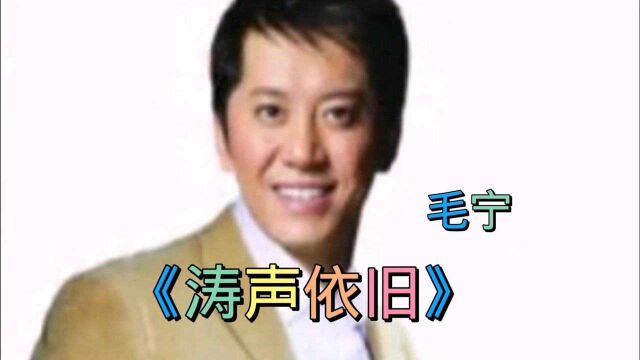 经典歌曲《涛声依旧》毛宁