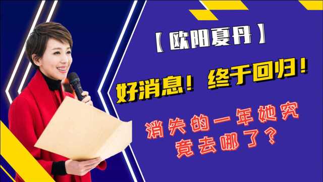 好消息,央视主持欧阳夏丹终于回归,消失的一年她究竟去哪了