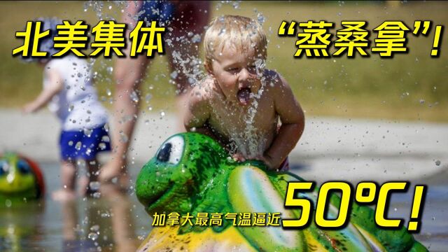 北美遇高温:加拿大近50℃!炎炎夏日,该如何预防中暑呢?