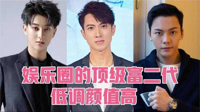 娱乐圈的顶级富二代,乔欣家坐拥3亿豪宅,黄子韬家有200多亿资产