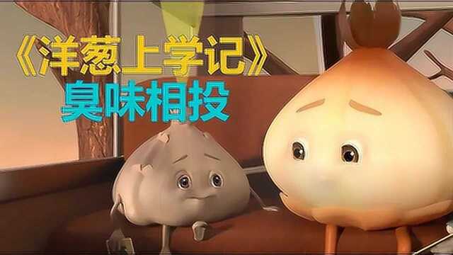 洋葱从小被孤立,在学校中受尽委屈,直到它遇见了大蒜!