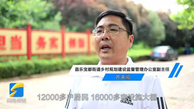 我为群众办实事|潍坊昌乐启动董梁路建设工程 保障菜农“致富路”畅通无阻