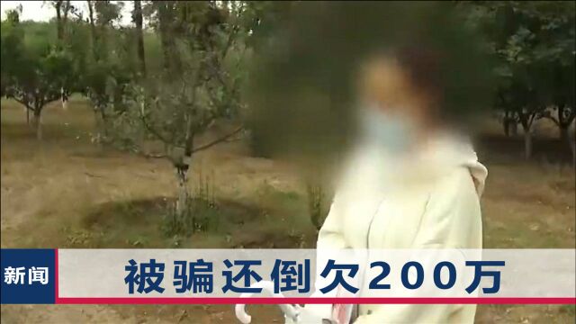 北京一女子婚恋网站遇“真爱”,转头被骗800多万,平台是否要担责