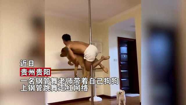 男子抱狗跳钢管舞转圈,狗子一脸生无可恋,一旁小白狗表情亮了