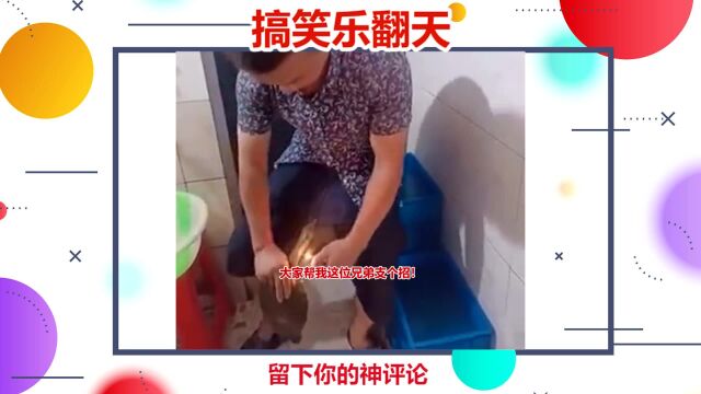 笑死人不偿命:你给我解释一下什么叫惊喜!