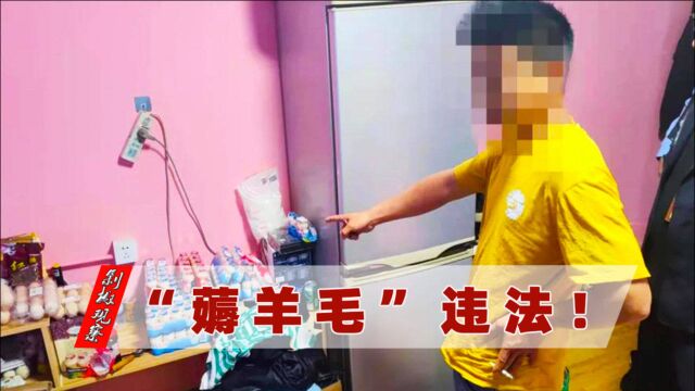 两男子薅羊毛获利45万被捕,网友质疑平台应担责,警方作出提醒