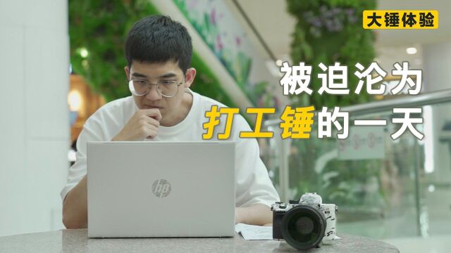 【大锤体验】 被迫沦为打工锤的一天