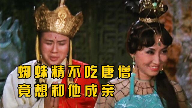 1967年邵氏版《盘丝洞》,题材竟如此开放,未在国内上映!