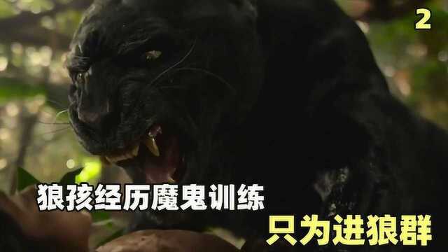 狼孩经历魔鬼训练,被黑豹追击,只为进狼群#电影种草指南大赛#