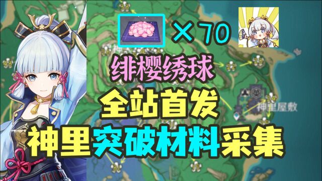 【原神】70个绯樱绣球丝滑采集路线~给神里绫华准备突破材料啦!