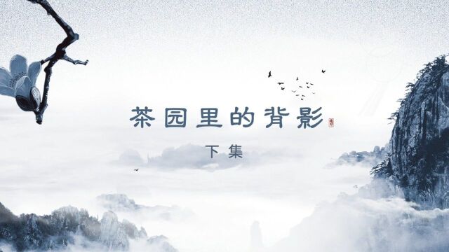 《大师的味道》第六集:《茶园里的背影》(下) 简介:八十九岁的高龄没有颐养天年,也没有北窗高卧,反而像个不知疲倦的小伙子,整日都在茶园里守着...