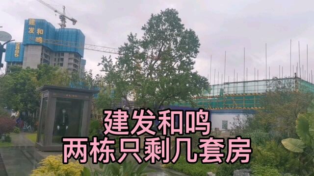 佛山新城新楼盘建发和鸣1:真的去化量超9成,连顶楼都卖出去了!