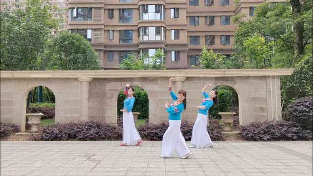 莲花广场舞《书房门前一枝梅》清新优雅的形体舞