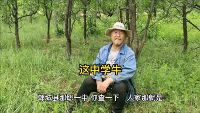 放羊大爷谈河南教育,这学校38个上清华北大,周口这学校不一般