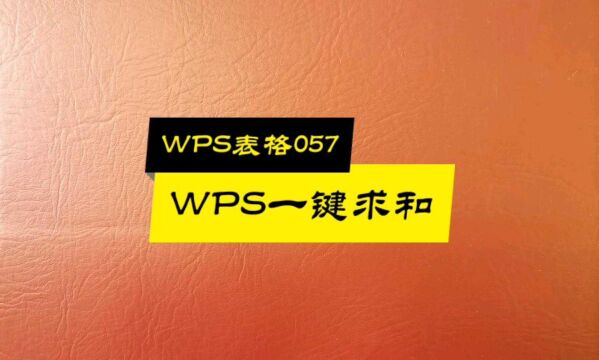 WPS表格057:数据一键求和