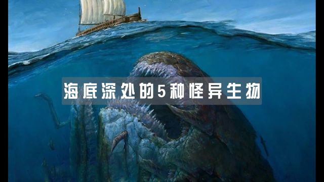 海底深处的5种怪异生物