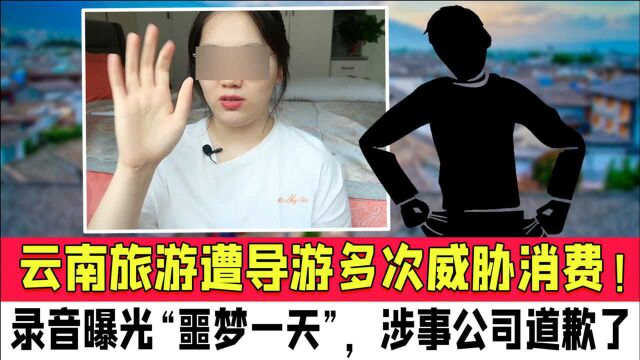 女子云南旅游遭导游多次威胁消费!录音曝光“噩梦一天”,涉事公司道歉了