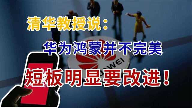 华为鸿蒙并不完美,清华教授指出短板,还给出了改进建议!