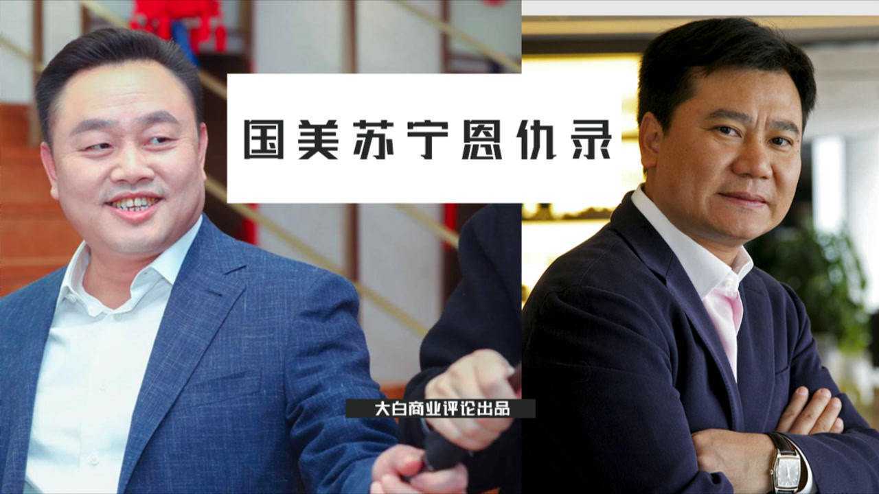 国美苏宁恩仇录