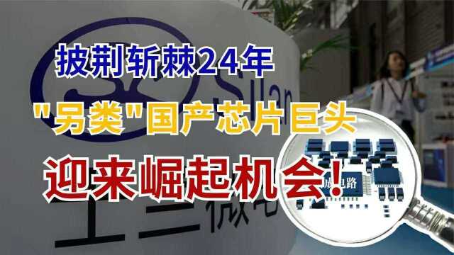 另类的国产芯片巨头,披荆斩棘24年,解决芯片制造全流程!