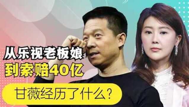 从乐视老板娘到索赔40亿,惨遭泰迪姐妹团内涵,甘薇经历了什么