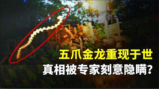 神秘山洞惊现诡异光影,传说的神龙真实存在?专家为何隐瞒真相?