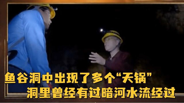 鱼谷洞中出现了多个“天锅”,专家们立马断定,洞里曾经有过暗河水流经过