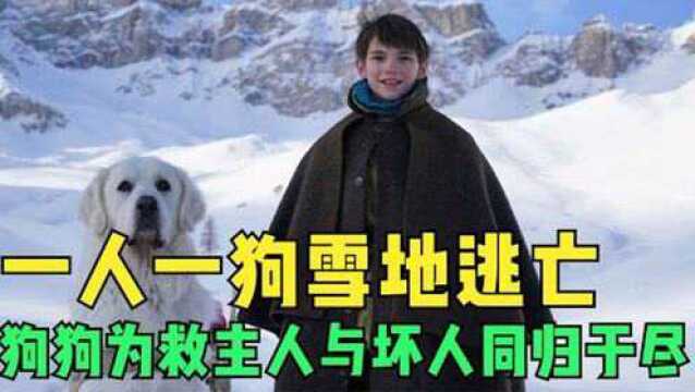 男孩带着狗雪地大逃亡,狗狗为救主人竟与坏人同归于尽《灵犬雪莉3》 #电影HOT短视频大赛 第二阶段#