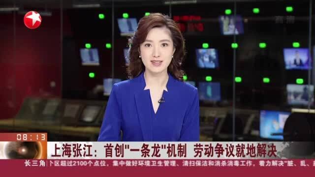 上海张江:首创“一条龙”机制 劳动争议就地解决