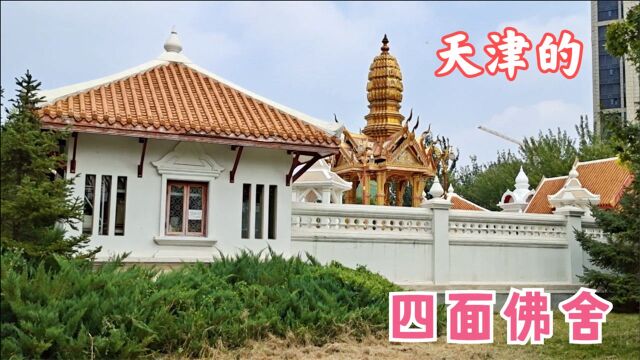 不出国门,领略东南亚风情——天津这个地方藏着一座泰式寺院