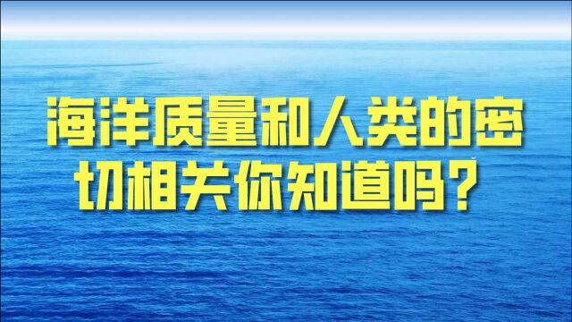 海洋与人类关系密切 海洋环境质量更是密切相关 你知道有哪些吗?