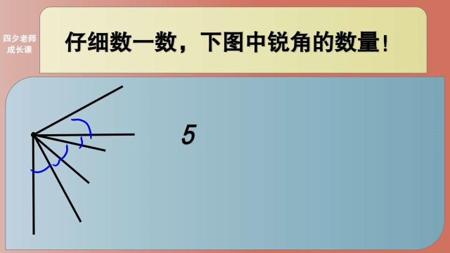 四年级数学:仔细数一数,下图中锐角的数量!