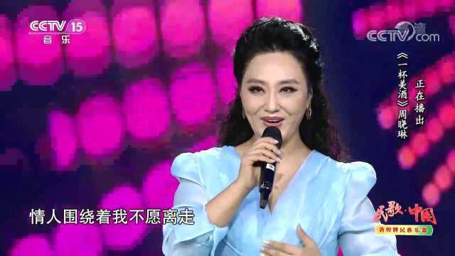 歌曲《一杯美酒》 演唱:周晓琳