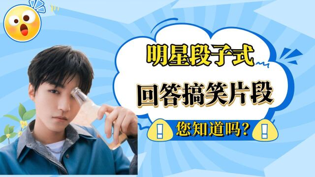 盘点明星段子手式回答片段,白敬亭一本正经的搞笑,王俊凯调侃说从小看杨紫长得的