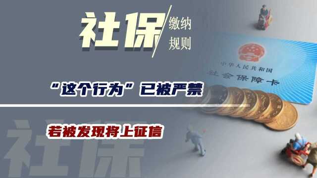 缴纳社保很重要,但“这个行为”已被严禁,若被发现将上征信